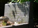 image of grave number 381561